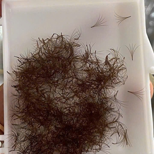 Premade Fan 5D Brown